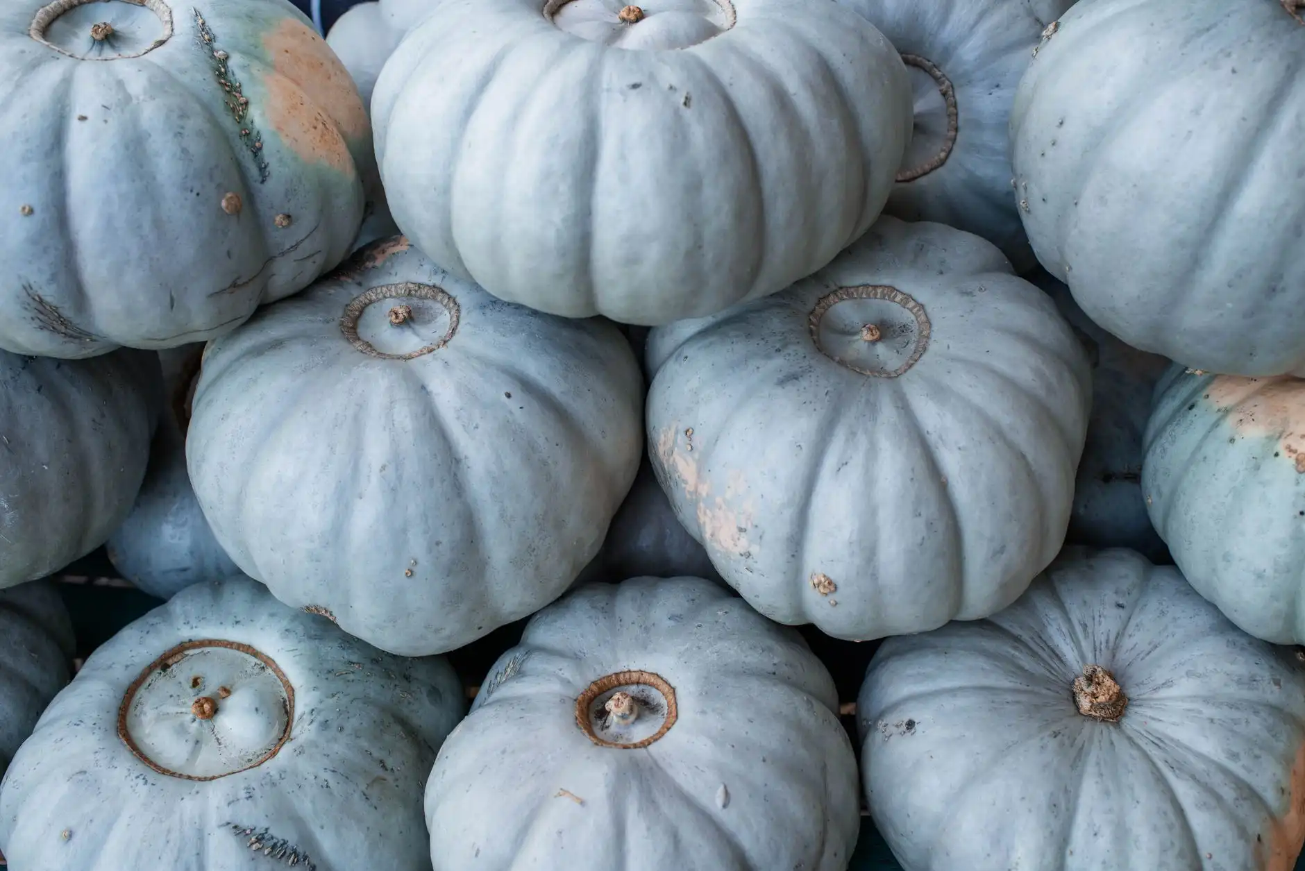 济南哲通电子科技电子元件选型指南：参数匹配与性能优化要点